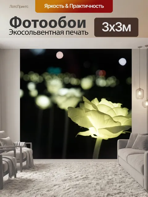 Фотообои Роза