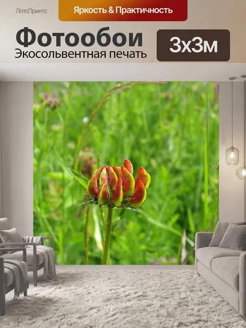 Фотообои Цветы