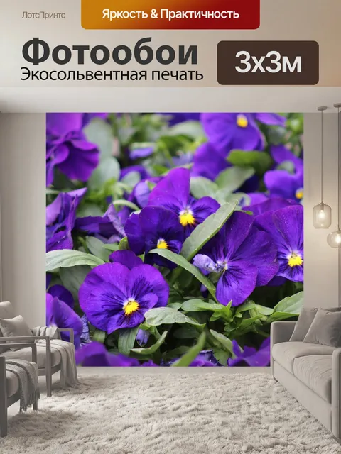 Фотообои Purple flowers
