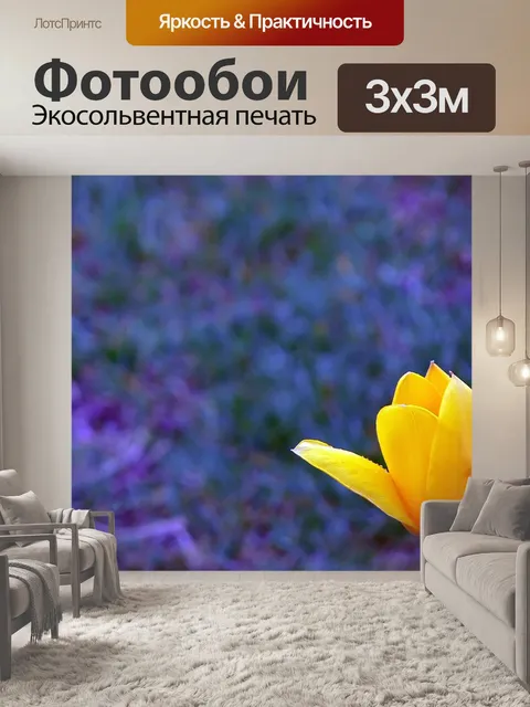 Фотообои Цветы