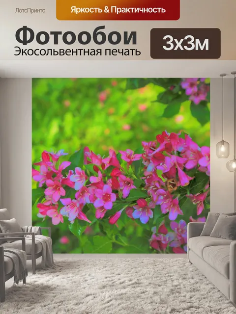 Фотообои Цветы