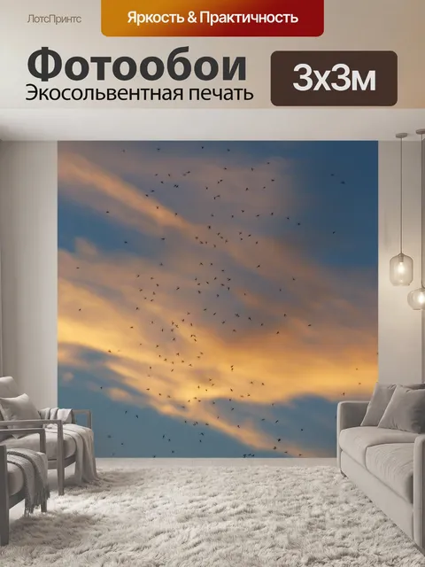 Фотообои Рой комаров