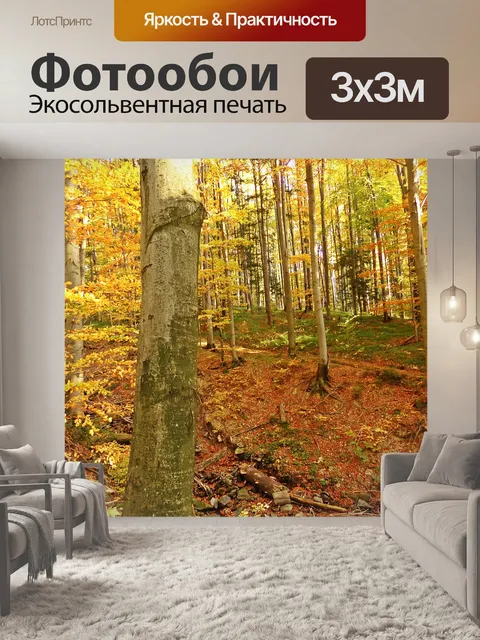 Фотообои Лес