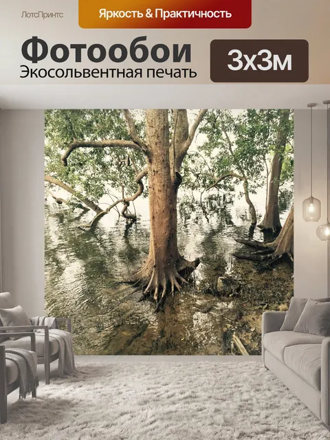 Фотообои Мангровые заросли