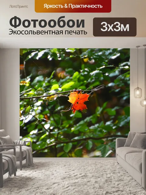Фотообои Падение