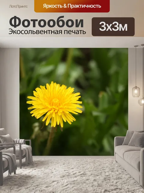 Фотообои Осот огородный