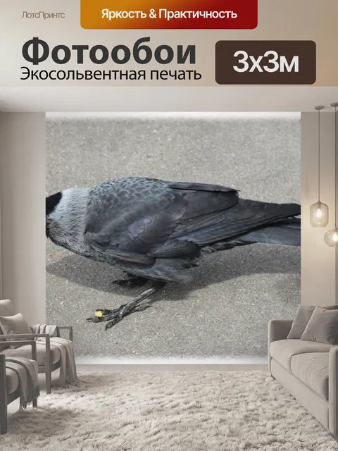 Фотообои 4 птицы Закуски