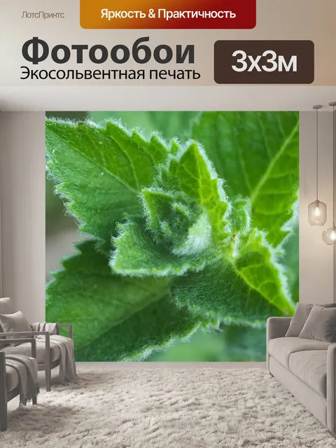 Фотообои Природа