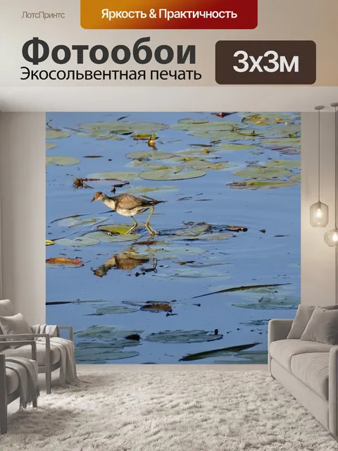 Фотообои Птицы