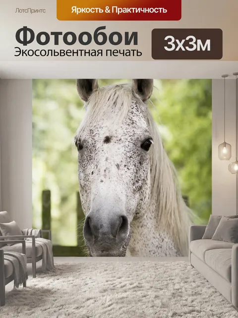 Фотообои Лошадь