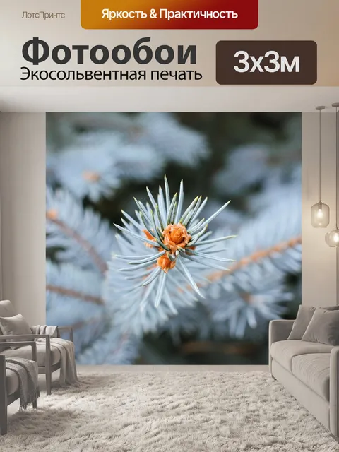 Фотообои Зима