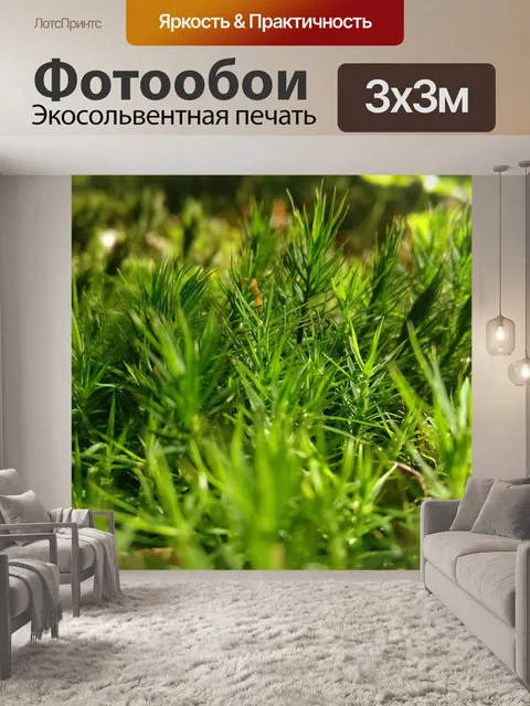 Фотообои Мох