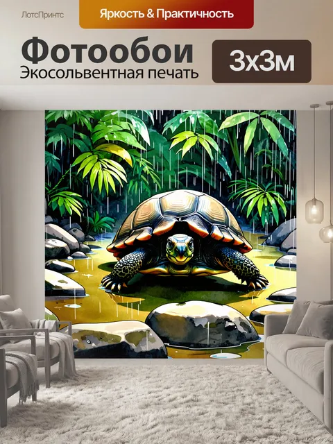 Фотообои черепаха, ползущая по влажным камням в тропическом дождевом лесу