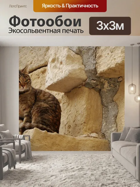 Фотообои Кот