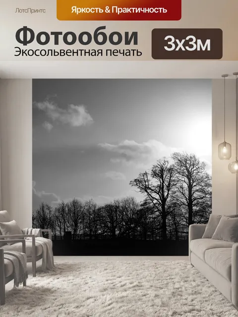 Фотообои Деревья без листьев