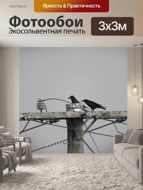 Фотообои Ворона