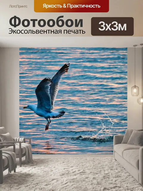 Фотообои чайка