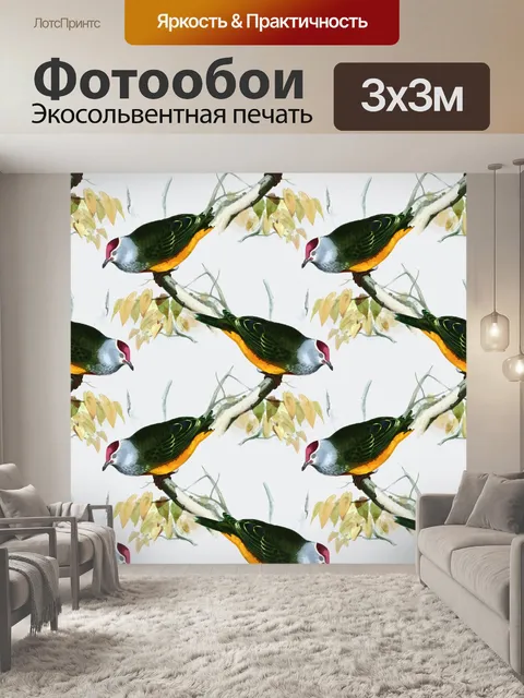 Фотообои Птицы