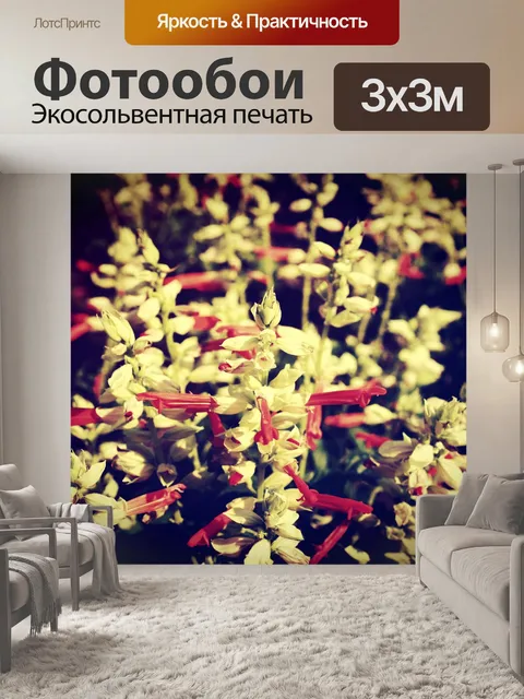 Фотообои Красивый цветок