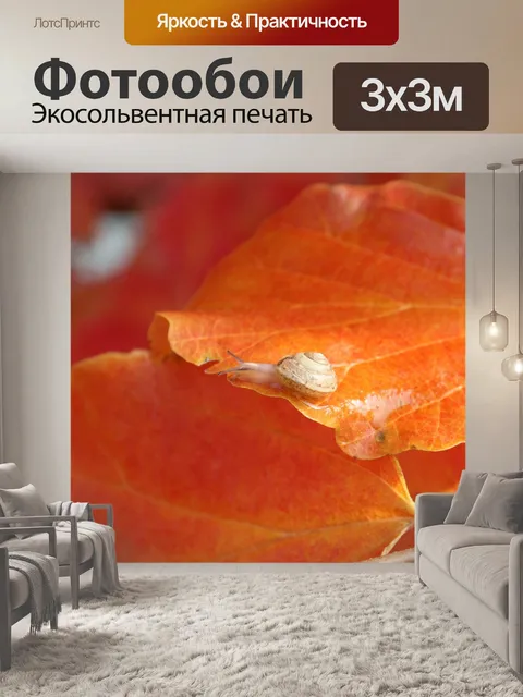 Фотообои Природа