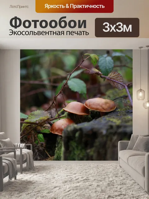 Фотообои Лес