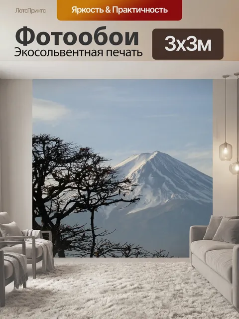 Фотообои Гора фудзи