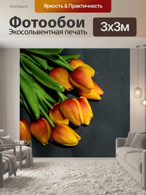 Фотообои Тюльпан
