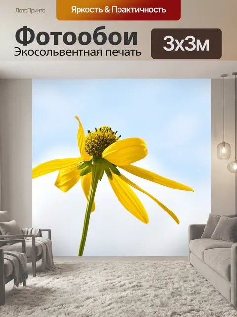 Фотообои Цветок