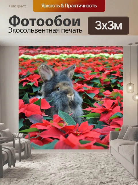 Фотообои Цветок