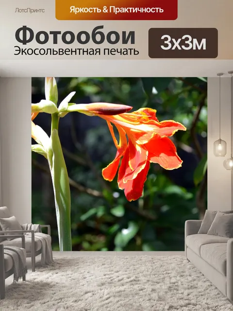Фотообои Красноватый цветок
