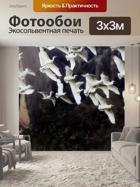 Фотообои Птицы