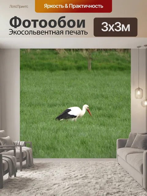 Фотообои Аист