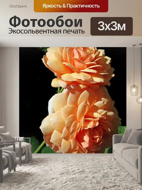 Фотообои Розы
