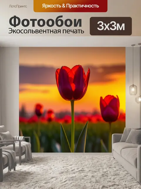 Фотообои тюльпаны на фоне заката