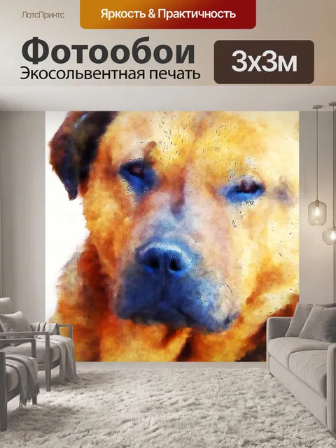 Фотообои Собака