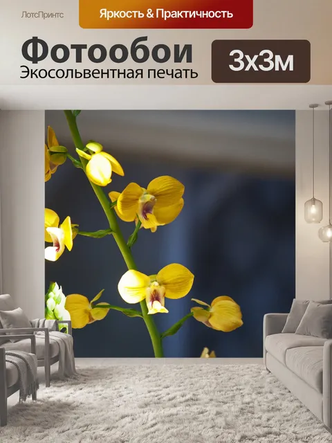 Фотообои солнечный свет на желтых цветах орхидеи