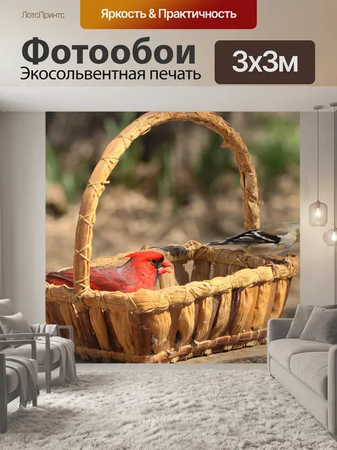 Фотообои Две птицы в корзине
