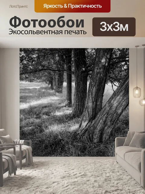 Фотообои Деревья