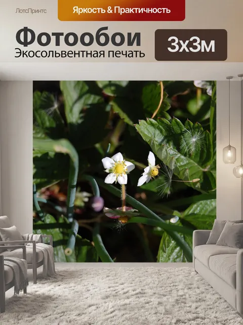 Фотообои Клубника