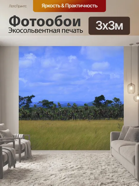 Фотообои Белиз