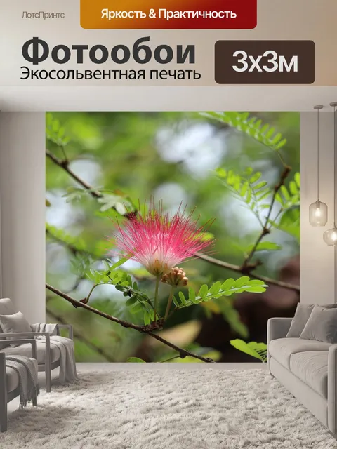 Фотообои Цветок