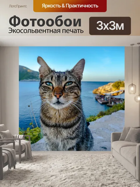 Фотообои Кот