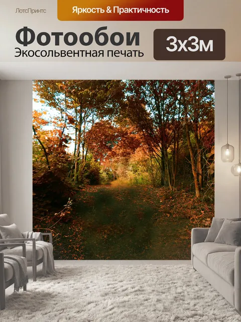 Фотообои Осенняя лесная тропа