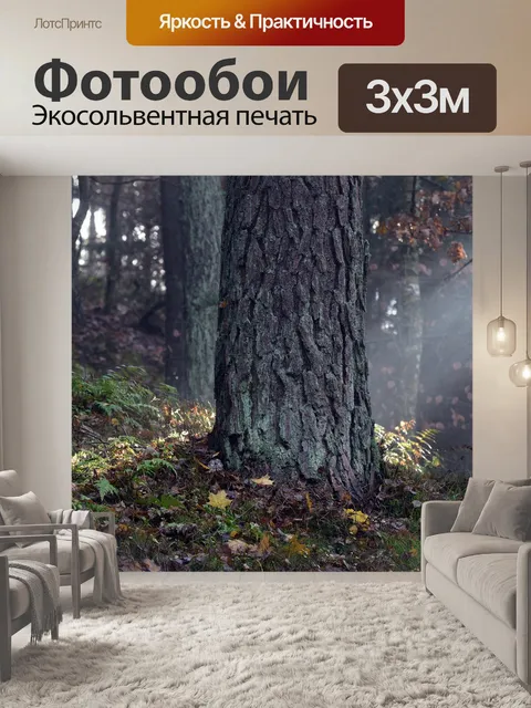 Фотообои Лес