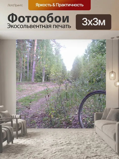 Фотообои Лесная дорога