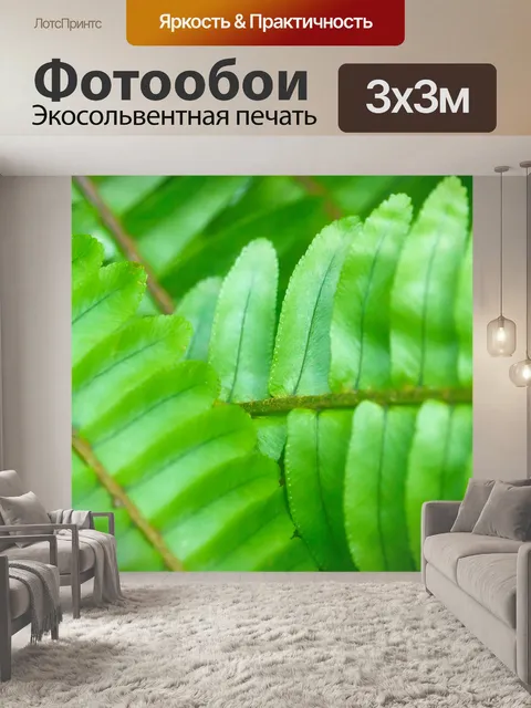 Фотообои зеленый листья растений детали