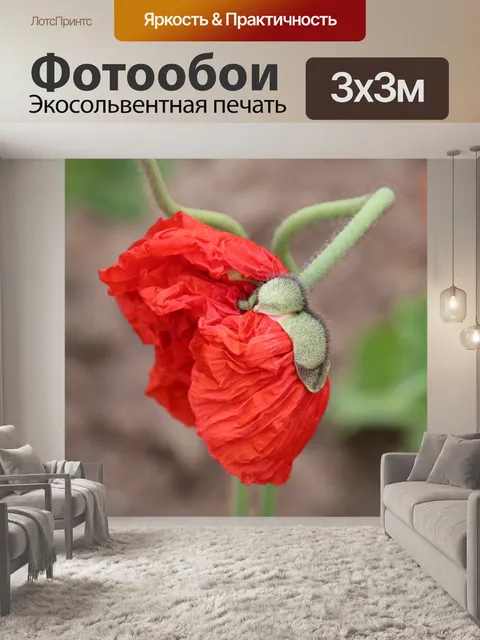 Фотообои Мака