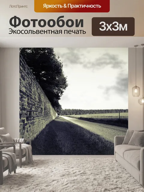 Фотообои Стена
