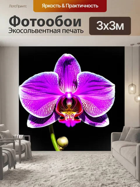 Фотообои орхидея с яркими контрастами, порой напоминающими неоновые цвета