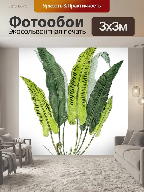 Фотообои Старинный художественный папоротник